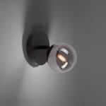 LED-wandlamp Widow II transparant glas/ijzer - 1 lichtbron