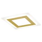 LED-Deckenleuchte Oblio Polyacryl / Aluminium - 2-flammig - Gold - Breite: 48 cm