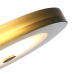 LED-Stehleuchte Turound VIII Acrylglas / Eisen - 1-flammig