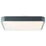 LED-plafondlamp Slimline II acrylglas/ijzer - 1 lichtbron