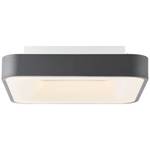 LED-plafondlamp Saria acrylglas/ijzer - 1 lichtbron