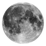Vlies Fototapete Moon Latextinte / Vlies  - Schwarz / Weiß