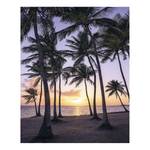 Beach Vlies on Fototapete Palmtrees