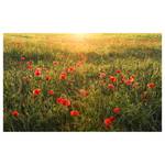 Fotobehang Poppy World vlies - groen/rood