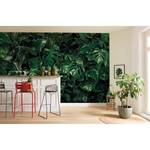 Papier peint intissé Tropical Wall Intissé - Vert - Largeur : 400 cm