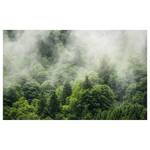 Fotobehang Forest Land I vlies - groen/wit