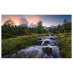 Fotobehang Wild Paradise vlies - meerdere kleuren