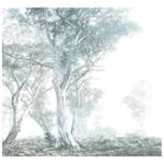 Papier peint intissé Magic Trees Intissé - Blanc / Bleu