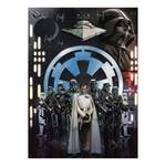 Vlies Fototapete Star Wars Empire Vlies - Bunt