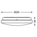 LED-Deckenleuchte  Kalmus Polypropylen - 1-flammig