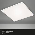 LED-plafondlamp Frameless polycarbonaat/ijzer - 1 lichtbron