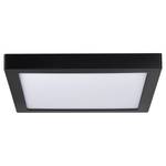 LED-Deckenleuchte Abia I Acrylglas - 1-flammig - Schwarz