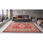 Tapis Parun Täbriz Polypropylène - Rouge - 120 x 170 cm