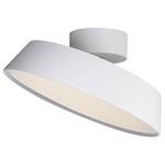 LED-plafondlamp Alba staal - 1 lichtbron - Wit