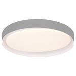 LED-plafondlamp Zeta II polycarbonaat - 1 lichtbron