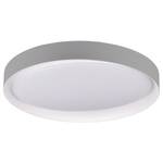 LED-plafondlamp Zeta II polycarbonaat - 1 lichtbron