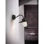 Wandlamp Luxembourg transparant glas/staal - 1 lichtbron