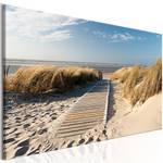 Wandbild Wilder Strand Leinwand - Blau - 135 x 45 cm