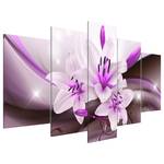 Acrylglas-afbeelding Violet Desert Lily acrylglas - wit - 200 x 100 cm