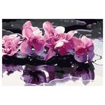 Peinture par numéro - Orchidée violette Toile - Rose foncé