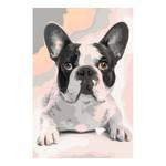 Schilderen op Nummer - Bulldog I canvas - roze