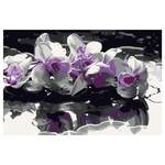 Orchidee Zahlen Malen nach Violette -