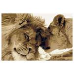 Peinture par numéro - Couple de lions Toile - Blanc