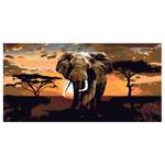 Peinture par numéro - Éléphant d’Afrique Toile - orange