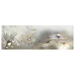 Wandbild Morning Song Leinwand - Grau - 150 x 50 cm
