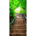 Deurbehang Stairs from Nature I premium vlies - wit - Breedte: 70 cm