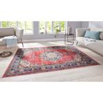 Tapis Tabriz Ladiz Coton / Chenille de polyester - Rouge / Indigo - 120 x 170 cm