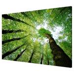 Magnettafel Bäume des Lebens Stahl / Vinyl-Spezialfolie - Grün - 60 x 40 cm