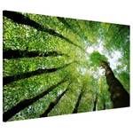 Magnettafel Bäume des Lebens Stahl / Vinyl-Spezialfolie - Grün - 60 x 40 cm