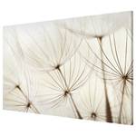 Tableau magnétique Herbes douces Acier / Film vinyle - Beige - 90 x 60 cm