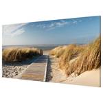 Magneetbord Oostzeestrand staal/speciale vinylfolie - blauw/oranje