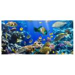 Magnettafel Underwater Reef Stahl / Vinyl-Spezialfolie - Blau