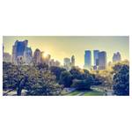 Magneetbord Peaceful Central Park staal/speciale vinylfolie - meerdere kleuren