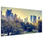 Tableau magnétique Peaceful Central Park Acier / Film vinyle - Multicolore