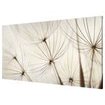 Magnettafel Sanfte Gräser Stahl / Vinyl-Spezialfolie - Beige - 78 x 37 cm