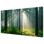 Magneetbord Enlightened Forest staal/speciale vinylfolie - groen