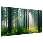 Magneetbord Enlightened Forest staal/speciale vinylfolie - groen