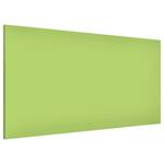 Tableau magnétique Colour Acier / Film vinyle - Vert clair - 78 x 37 cm