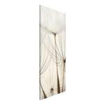 Magnettafel Sanfte Gräser Stahl / Vinyl-Spezialfolie - Beige - 37 x 78 cm