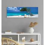 Wandbild Divi Divi Baum Blau