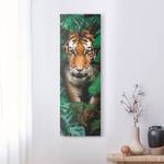 Wandbild Tiger Grün