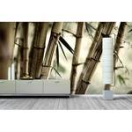 Papier peint en intissé Bamboo Forest Papier peint en intissé - Beige / Vert - 360 x 240 cm
