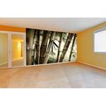 Papier peint en intissé Bamboo Forest Papier peint en intissé - Beige / Vert - 420 x 280 cm