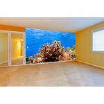 Papier peint en intissé Corals Reef Papier peint en intissé - Multicolore - 300 x 200 cm