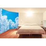 Papier peint en intissé Clouds Papier peint en intissé - Bleu / Blanc - 420 x 280 cm