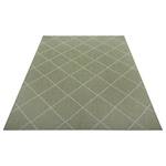 Teppich Audrieu I Polypropylen - Grün / Beige - 80 x 150 cm